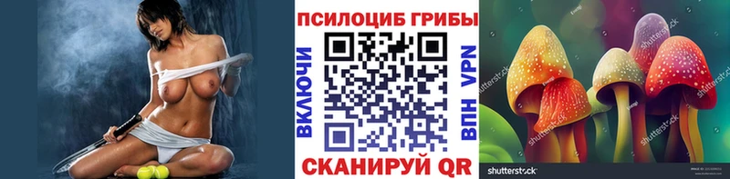 Купить закладки  Семилуки  Псилоцибиновые грибы ЛСД 